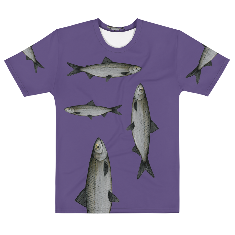 Coregonus lavaretus - Kahden Kilon Siika